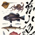 長嶋祐成氏『茲山魚譜』ステッカー