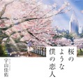 「桜のような僕の恋人」書影（C）宇山佳佑／集英社【イラストレーション／LAL!ROLE】