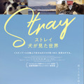 【ご招待】『ストレイ 犬が見た世界』シネマカフェオンライン試写会に40名様