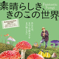 『素晴らしき、きのこの世界』（C）2018, Fantastic Fungi, LLC