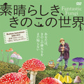 『素晴らしき、きのこの世界』（C）2018, Fantastic Fungi, LLC