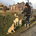 『ストレイ 犬が見た世界』メイキング　(C)2020 THIS WAS ARGOS,LLC