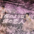 Netflix映画『桜のような僕の恋人』プレミアイベント