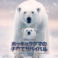「ディズニーネイチャー／ホッキョクグマの子育てサバイバル」（C） 2022 Disney