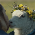 羊飼いの夫婦と“羊ではない何か”の日常捉える『LAMB／ラム』新場面写真・画像