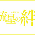 「流星の絆」©TBS ©東野圭吾「流星の絆」（講談社刊）