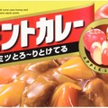 ハウス食品 バーモントカレー 甘口 230g