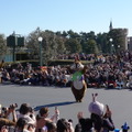 今年は40周年！東京ディズニーリゾート®のお正月