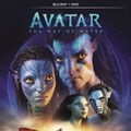 『アバター：ウェイ・オブ・ウォーター』© 2023 20th Century Studios.