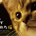 『ルー、パリで生まれた猫』ムビチケ　© 2023 MC4–ORANGE STUDIO–JMH & FILO Films