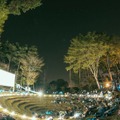 夜空と交差する森の映画祭2023