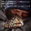 『猫と、とうさん』　© Gray Hat Productions LLC 2021.　