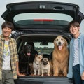 ユ・ヨンソク＆チャ・テヒョン共演、愛犬の里親探しに『マイ・ハート・パピー』1月公開・画像