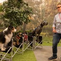 映画『スラムドッグス』監督「犬中心の環境を作り上げた」“ドッグ・ファースト”な撮影現場を収めた特別映像・画像