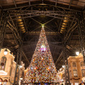 圧倒的にロマンティック！約15メートル、40周年の巨大クリスマスツリーの見逃せない輝き