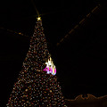 圧倒的にロマンティック！約15メートル、40周年の巨大クリスマスツリーの見逃せない輝き
