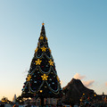 4年ぶりに復活したクリスマスツリーは夜に秘密が　きらびやかな東京ディズニーシーを大満喫