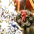 4年ぶりに復活したクリスマスツリーは夜に秘密が　きらびやかな東京ディズニーシーを大満喫