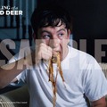 『聖なる鹿殺し キリング・オブ・ア・セイクリッド・ディア』©2017 EP Sacred Deer Limited, Channel Four Television Corporation, New Sparta Films Limited