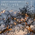 『パスト ライブス／再会』　Copyright 2022 © Twenty Years Rights LLC. All Rights Reserved