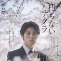 『朽ちないサクラ』©2024 映画「朽ちないサクラ」製作委員会
