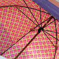 gredecana（グリデカナ）雨傘