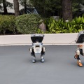 かわいいの2足歩行ロボットが新登場！BDXドロイドのアトモスフィアプログラム