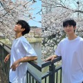 俳優チョン・ヘイン、今年の“お花見ショット”も最高すぎる！「眩しくて暖かい」とファン歓喜【PHOTO】