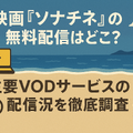 映画『ソナチネ』の無料配信はどこ？TSUTAYA DISCASやNetflix、Amazonプライムなど配信状況を徹底調査！