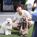 「初恋DOGs」第1話（C）TBS