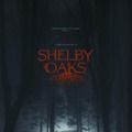『Shelby Oaks』（C）APOLLO