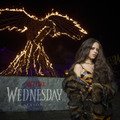 Netflixシリーズ「ウェンズデー」シーズン2 パート1：独占配信中、パート2：9月3日（水）より世界独占配信