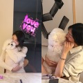 「待ってました！」“13歳差” ペ・スジ、ソン・ヘギョが愛犬を抱っこして至福のひととき【PHOTO】