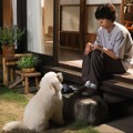「初恋DOGs」10話 (c)TBS