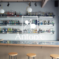 The World Gin&Tonic〔Antonic〕