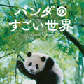 『パンダのすごい世界』