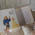 『美女と野獣』コレクション　スペシャルBOX