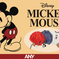 「ANY（エニィ）」×「ミッキーマウス」