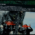 『口に関するアンケート』©2026映画「口に関するアンケート」製作委員会