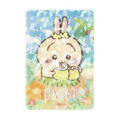 トレーディング 海辺のキラキラクリアカード（全９種）単品：440円　BOX：3,960円
