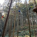 「街の呼吸と森の映画祭2026」