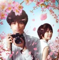 『桜のような僕の恋人』Netflix にて全世界独占配信中