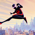 『スパイダーマン: スパイダーバース 』©APOLLO