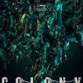『群体（原題）』（英題『Colony』）©APOLLO