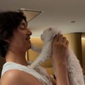 俳優コン・ユ、愛猫コンコンの旅立ちを追悼「僕と似ている君が好きだった」【写真】