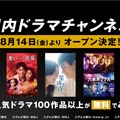 「国内ドラマチャンネル」（C）AbemaTV, Inc.