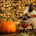 『映画 ひつじのショーン かぼちゃ畑の怪物！』© 2026 / AARDMAN ANIMATIONS Ltd - All Rights Reserved