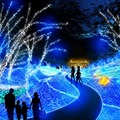 「さがみ湖イルミリオン」