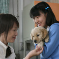 『犬と私の10の約束』  (C)- 2008「犬と私の10の約束」フィルムパートナーズ