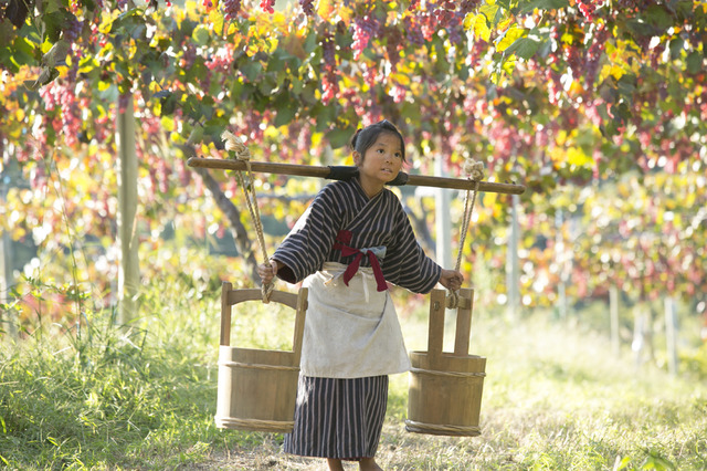 第1話「花子と呼んでくりょう！」／NHK連続テレビ小説「花子とアン」